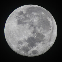 Fototapeta premium full moon in the night