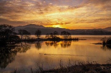 동트는 새벽, 호수위를 헤엄치는 새들