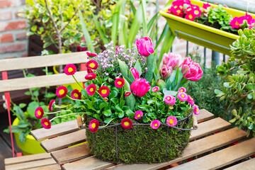 Blooming flowers potted in wire basket