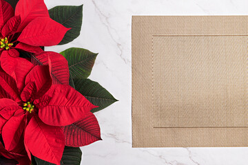 Christmas poinsettia with gold placemat marble background