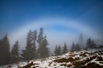 Fototapeta na wymiar foggy winter landscape in the mountains