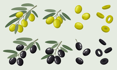 Vector illustration of a set of black and green olives. Branches with olives with leaves, individual berries and sliced ​​berry rings. Vegetable illustration in a flat style on a blue background.