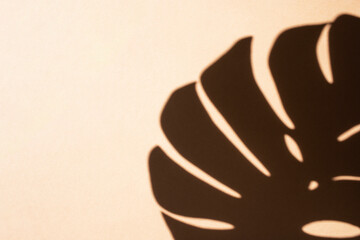 Monstera leaf shadow on beige background. Flat lay, place for text.