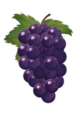 grape