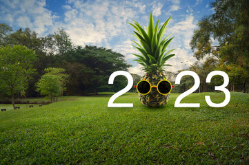 Pineapple with sunglasses and 2023 white text on green grass and trees in public park, Happy new...