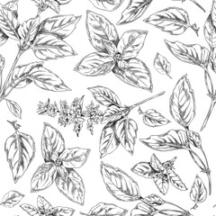Fototapeta premium Seamless decorative pattern with basil leaves and twigs, vector illustration.