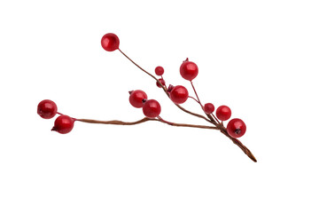branches of red berries. christmas tree branch, isolated on transparent background png. Christmas decoration red berries holly	 - Powered by Adobe