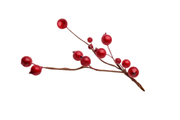 branches of red berries. christmas tree branch, isolated on transparent background png. Christmas decoration red berries holly	