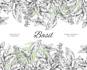 Basil seamless border template ink sketch style vector illustration isolated.