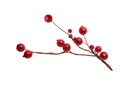 branches of red berries. christmas tree branch, isolated on transparent background png. Christmas decoration red berries holly	