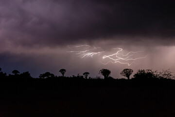 Naklejka na ściany i meble Thunderstorm over Quiver trees in Namibia