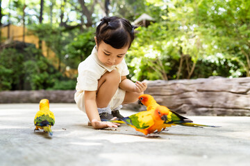 Asian cute little girl sitting and feeding birds on hands in the zoo.