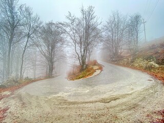 View of an apex of a turn on a mountain forest road in Romania. - 553151524