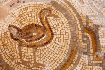Interior bird mosaic of Qasr Al Hallabat desert castle in Jordan