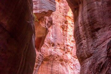 Al Siq Canyon in Petra, Jordan, pink red sandstone walls both sides
