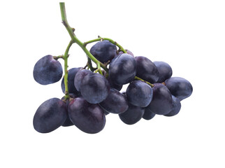 Grapes. Red grape. Grape branch isolated transparent png