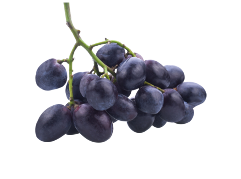 Grapes. Red grape. Grape branch isolated transparent png
