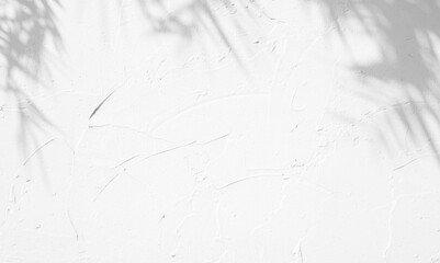 White plaster wall background beautiful lights and shadows of leaf