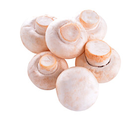 Heap of champignon mushrooms. on transparent png