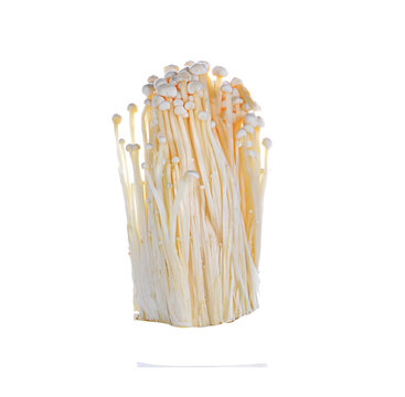  Enoki Mushroom, Golden Needle Mushroom On Itransparent Png