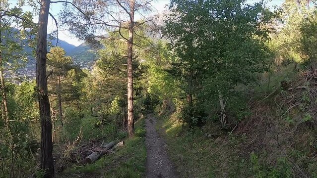 View of a single trail as a mountain biker. The narrow path leads down the mountain through the forest. POV