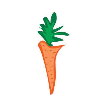 Carrot. Doodle illustration of carrots. Image for postcards and scrapbooking.