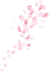 水彩 桜フレームデザイン