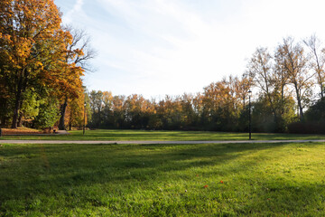 Naklejka premium Picturesque view of park with beautiful trees and green grass on sunny day. Autumn season