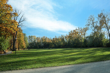 Picturesque view of park with beautiful trees and green grass on sunny day. Autumn season