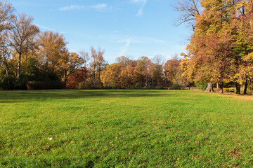 Picturesque view of park with beautiful trees and green grass on sunny day. Autumn season