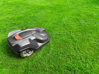 Modern robot lawn mower on green grass in garden