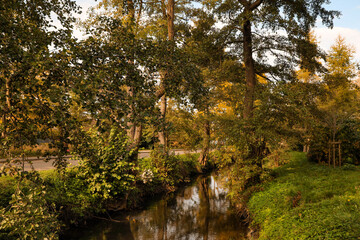 Picturesque view of river in beautiful park. Autumn season