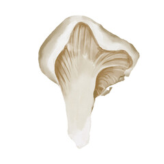 Watercolor food illustration of mushroom
