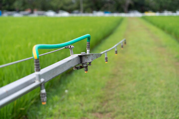 Farmers are getting ready agricultural sprayer in paddy fields.