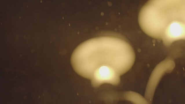 Blurry Shot Of Snow Falling Over Street Lantern In Park At Night Time