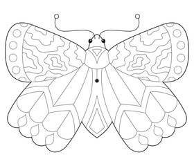 Children's simple black and white antistress coloring butterflies with ornaments for children's creativity