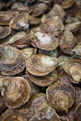 Oysters in Arcachon bay. Market see food in Aquitaine. France