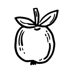 Apple Free hand vector drawing. Vector object of a doodle apple with a white background, for graphic designers.