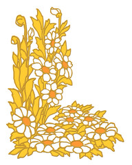 decorative composition made in white and gold tones: chamomile flowers on a white background