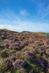 Obraz premium Digital oil painting of The Roaches from Hen Cloud in the Peak District National Park, UK.