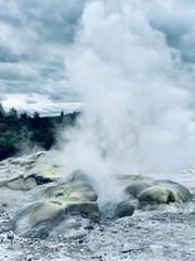 Geyser ready to pop in Rotorua New Zealand