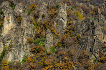 Autumnal landscape of Birtvisi canyon