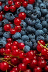 close up, blueberry and red currant background, vertical image. top view. place for text