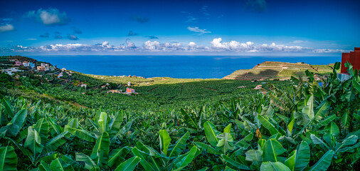 Spectacular banana fields panorama in La Palma island