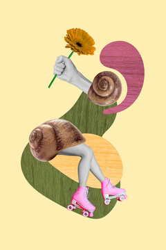 Vertical collage image of black white gamma arm hold flower girl legs rollers inside snail shell isolated on painted background