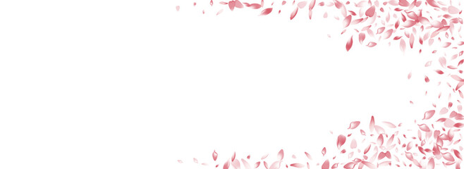 Color Lotus Petal Vector White Background. Pink