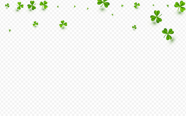 Fototapeta premium Olive color Clover Botanical Vector Transparent