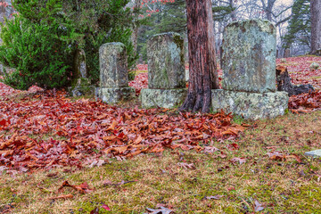 Early foggy morning in an old hill top graveyard with cedar tree and moss covered headstones. Autumn leaves covering the ground in Sewanee Tennessee university cemetery.