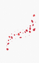 Beautiful Blossom Fly Vector Transparent