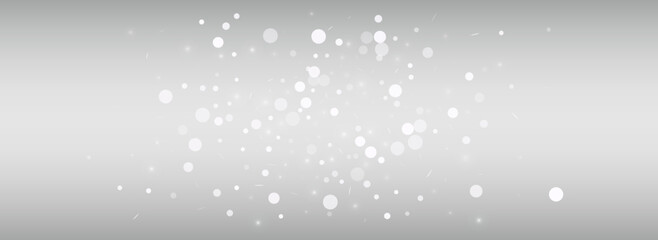 Gray Snowflake Vector Silver Panoramic